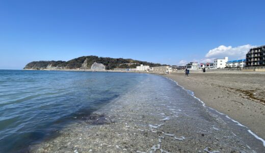 最近海沿いに引っ越しました！