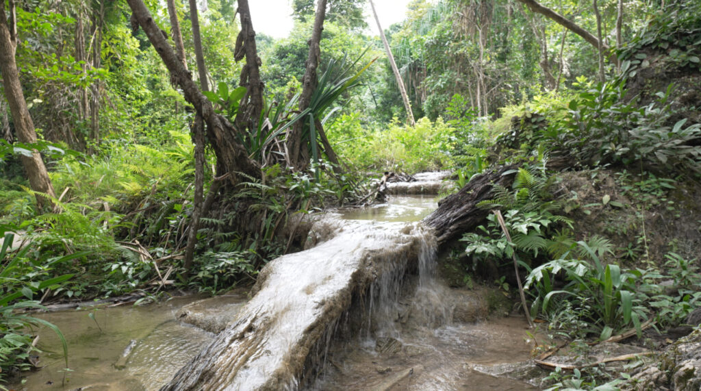 滝から流れてくる水の様子