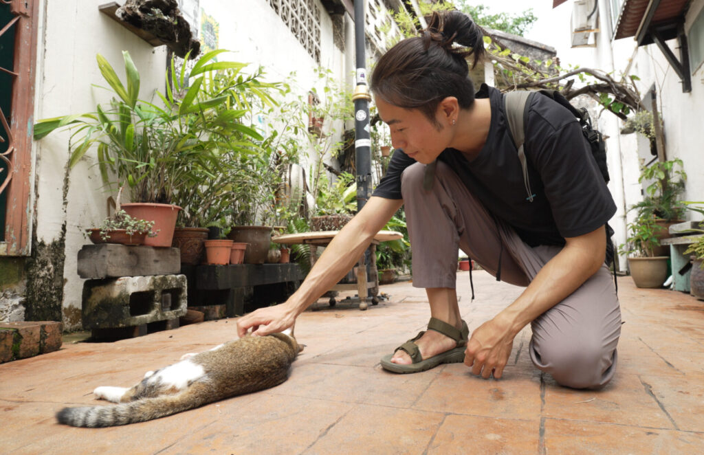 猫と戯れている筆者