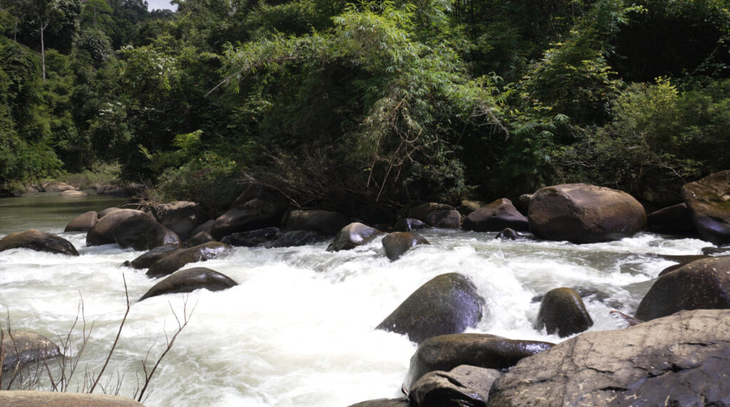 ハイキングコースの川