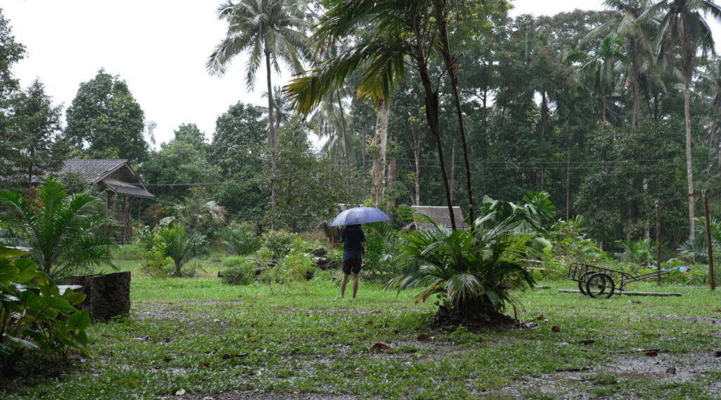 雨のキャンプ場