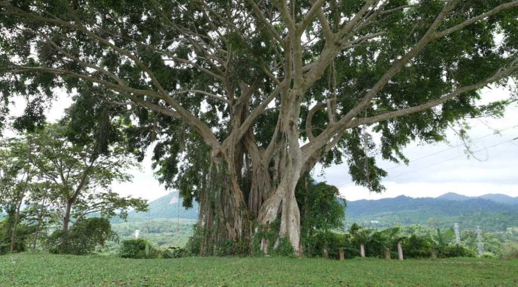ビューポイント近くの公園①