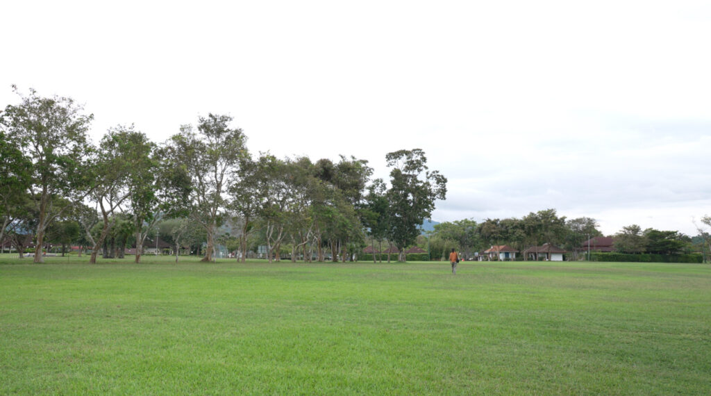 ビューポイント近くの公園②