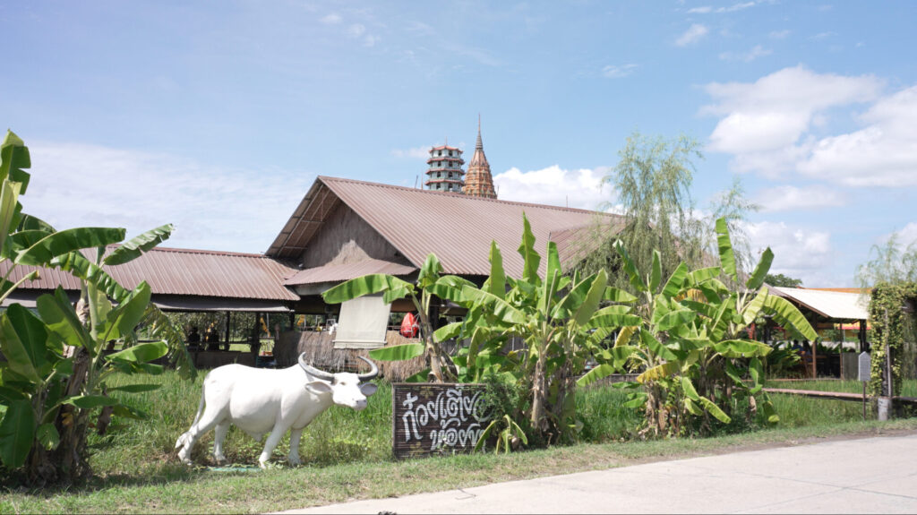 ラックカンナーの外観