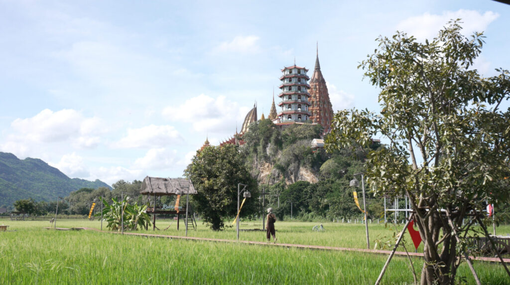 カフェから見えるワットタムスア