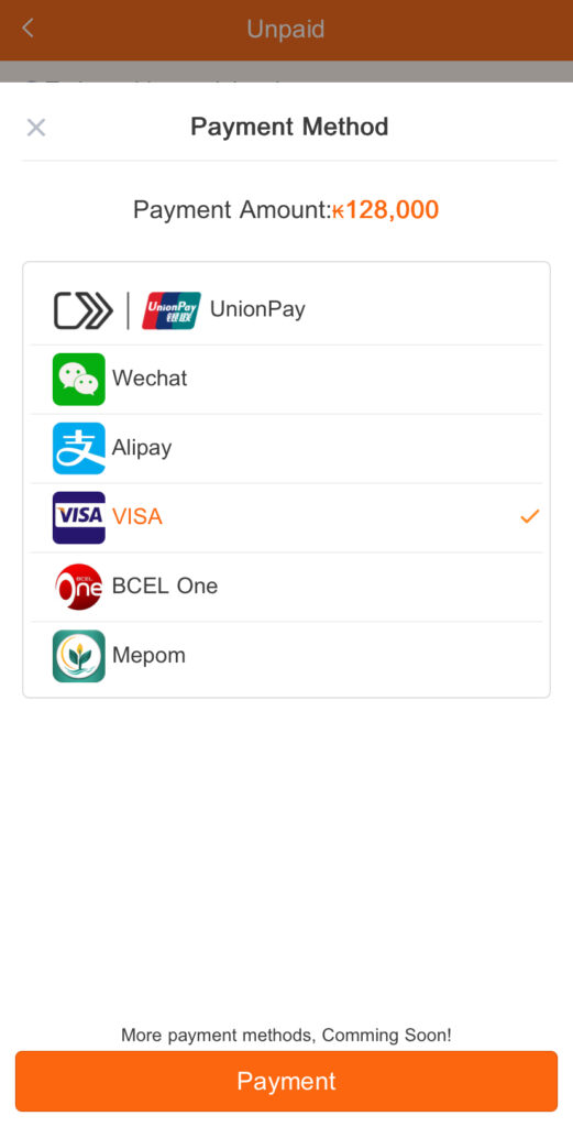 LCRアプリでのチケット購入方法④